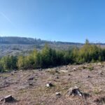 Img 20230304 wa0013