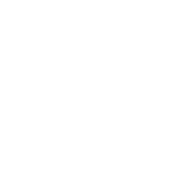 Logo mittasch white